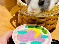 -大象厨房(重庆道店)