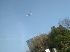 -南翔镇银翔湖公园
