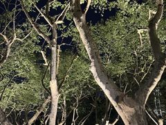 -湖畔居茶楼(湖滨店)