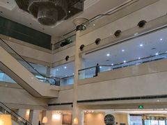 -上海齐鲁万怡大酒店·辣椒屋咖啡厅