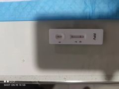 -守诺宠物医院·眼科· 特色牙科·异宠专科(虹口店)