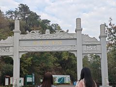 -羚羊峡古栈道森林公园