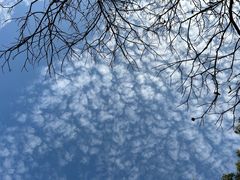 -兴福老面馆(寺路街店)