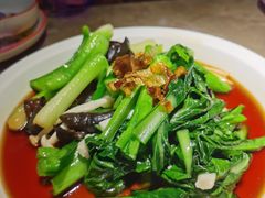 白灼菌菇菜心-新白鹿餐厅(金鹰新街口店)