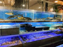 -喜庭海鲜自助(来福士店)