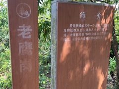 -滴水岩森林公园