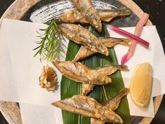 -乌君·酒场·炭火烧鸟(侨城坊店)