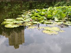-前关湿地公园