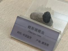 -国家自然博物馆