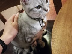 -H立方实景剧情密室(天河旗舰店)