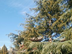 -西安市广仁寺