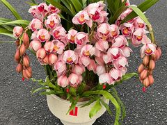 -F.Story 花和故事(新天地店)