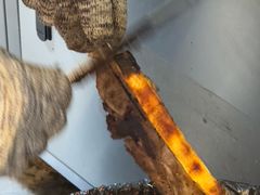 -179甘洛烤猪(总店)