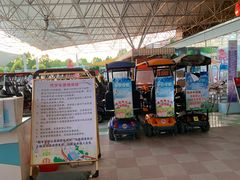 -百万葵园