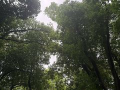 -东湖落雁景区