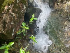-茶人谷-东海大峡谷