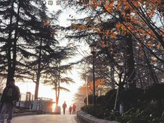 -北岭山森林公园
