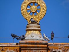 -大召无量寺