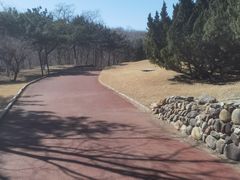 -云岗森林公园