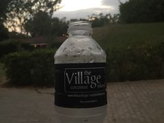 -椰树岛海滩度假村