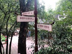 -宁波市保国寺古建筑博物馆