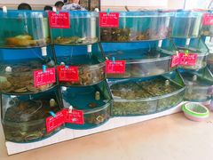水产区-聚德福海鲜家常菜(刘庄店)