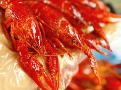 -二钳洞庭虾蟹·江湖菜(成都鹭岛店)