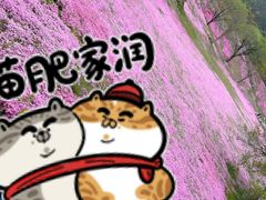 -昆嵛山石门里景区