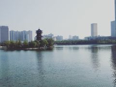 -迎泽公园