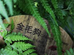 -国家植物园南园