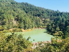 -广州白江湖森林公园