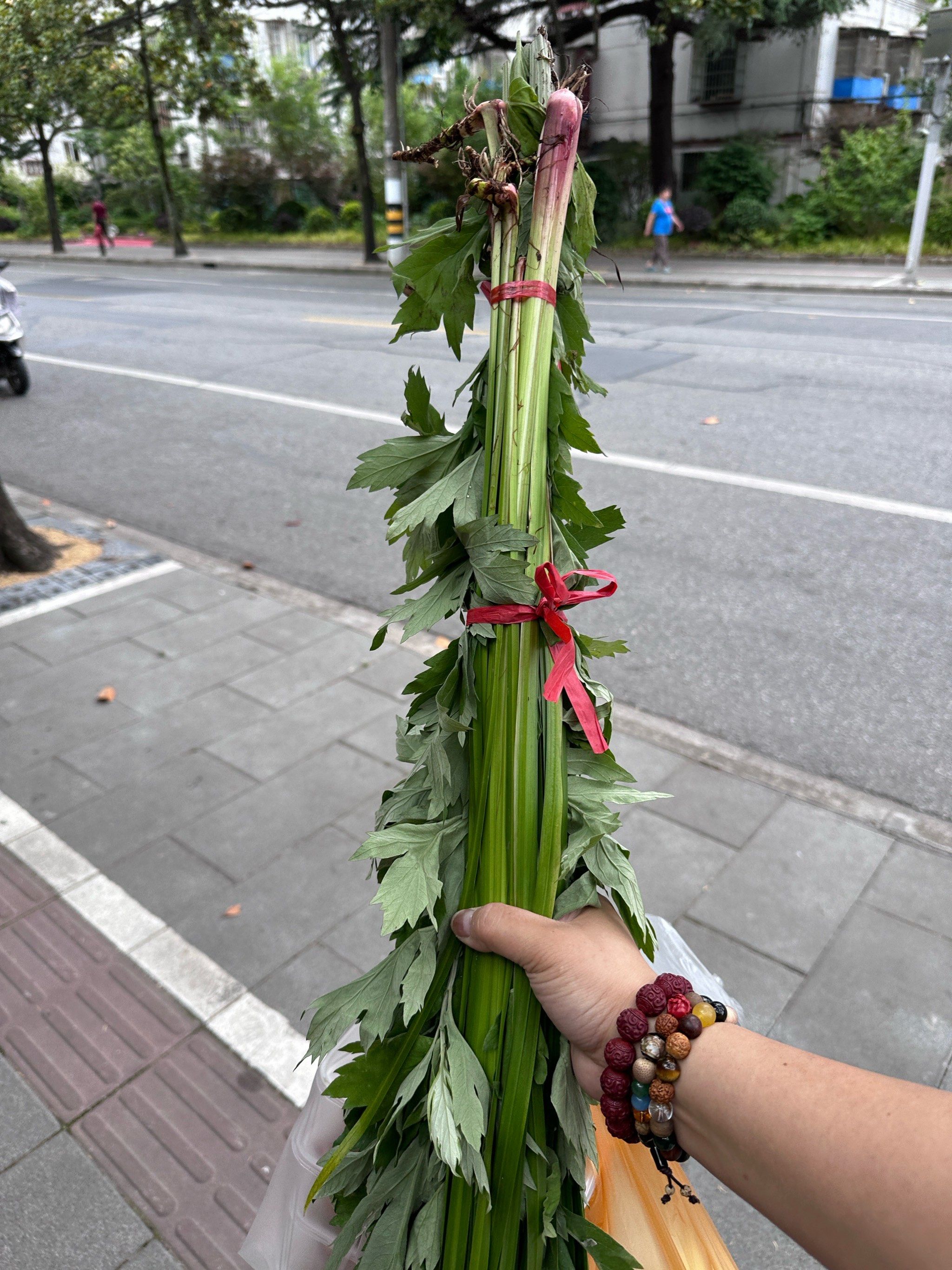 端午的艾草已get
