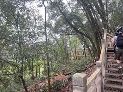 -南宁良凤江国家森林公园