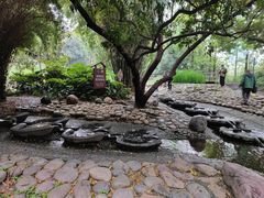 -成都市活水公园