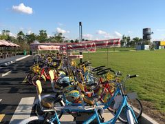 -春花秋色城市公园