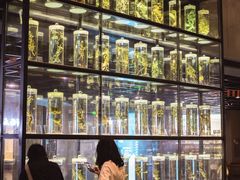 -广东中医药博物馆