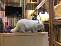-小时光咖啡馆(开森度假森林店)