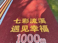 -广州市流溪河国家森林公园