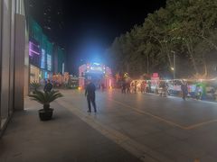 -金茂览秀城