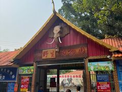-西双版纳总佛寺