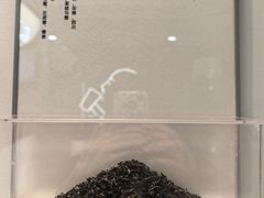 -喜茶(天津滨海万达广场店)