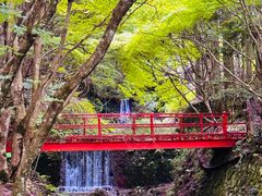 -三千院