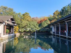 -杭州植物园