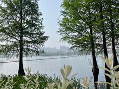 -莫愁湖公园