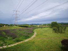-紫颐香薰山谷景区