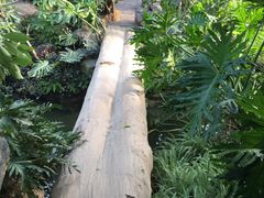 -南通洲际绿博园