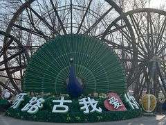 -呀路古热带植物园