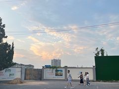 -碧海金沙