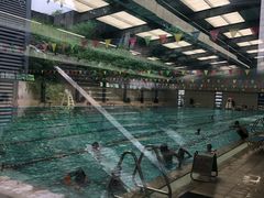 -西南大学（北碚校区）恒温游泳馆