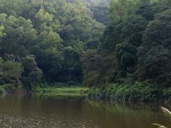 -番禺大夫山森林公园